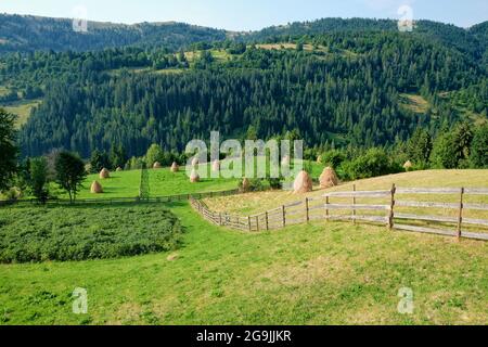 Ländliche Landschaft mit Zaun im Apuseni-Gebirge, Rumänien Stockfoto