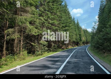 Hohe Straße kreuzt den Tannenwald in Siebenbürgen, Rumänien Stockfoto