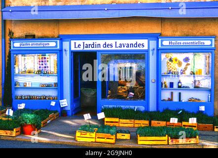 Le Jarden des Lavandes (der Garten des Lavendel) in der Stadt Sault in der Region Provence-Alpes-Côte d'Azur, Frankreich Stockfoto