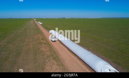 Luftaufnahme des 4x4 Pickup-LKW, der durch Weizenanbau-Feld mit Silosäcken auf der Straße fährt. Argentinien Stockfoto