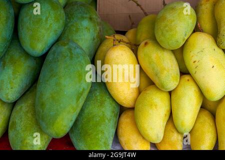 Besondere Früchte in der Sonderzone, Mango mit roter Haut, gelber Haut und grüner Haut Stockfoto