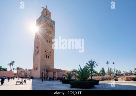 Koutoubia Moschee aus dem 12. Jahrhundert in der Altstadt von Marrakesch, Marokko Stockfoto