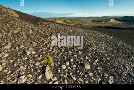 Laki Crater oder Lakagigar, Crater Series, Highlands, Südisland, Suourland, Island Stockfoto