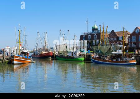 Krabbenschneider im Hafen, Neuharlingersiel, Ostfriesland, Niedersachsen, Deutschland Stockfoto