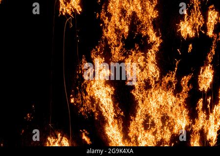 FEUER - Stahlwollfäden brennen, oxidieren, schwelen. Ähnelt Waldbrand. Stockfoto