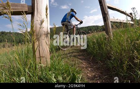 Minturn, COLORADO, USA. Juli 2021. 26. Juli 2021. Avon, Colo, USA. Ein Mountainbiker passiert ein altes Zauntor auf dem Everkrisp Trail zwischen Minturn und Avon, Colorado.der Everkrisp Mountain Bike and Hiking Trail führt durch Felder mit Wildblumen und klettert durch Espen- und immergrüne Wälder tief in den Rocky Mountains. (Bild: © Ralph Lauer/ZUMA Press Wire) Stockfoto