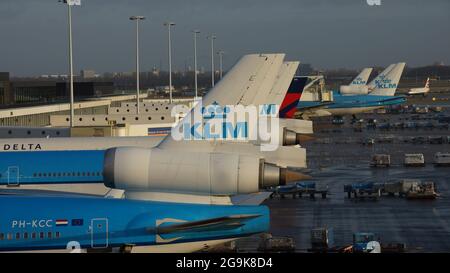 SCHIPHOL, NIEDERLANDE - 07. Jan 2012: Eine Reihe von KLM-Flugzeugen mit ihren Logos auf ihren Schwänzen im Amsterdamer Flughafen Schiphol in den Niederlanden Stockfoto