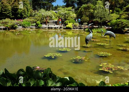 Der kleine Teich in den botanischen Gärten des Shore Acres State Park in Oregon, USA. Stockfoto