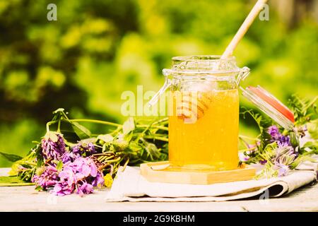 Frischer Honig in einem Glas auf einem Sommer ländlichen Hintergrund. Blumig duftendes Dessert mit süßem Honig, Vorderansicht Stockfoto