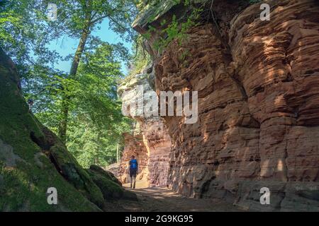 Wanderer am Altschlossfelsen, rote Sandsteintürme im pfälzischen Wald, Eppenbrunn, Rheinland-Pfalz, Deutschland Stockfoto