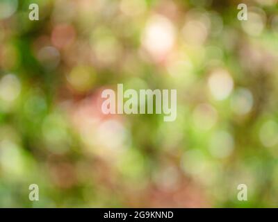 Schöne unscharfe bunte Herbst Hintergrund. Helles abstraktes Bokeh. Stockfoto