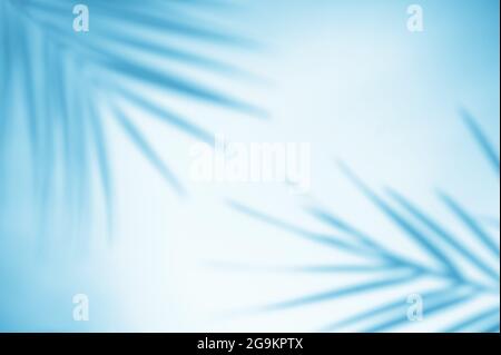 Schattenüberlagerungseffekt. Schatten tropischer Palmen und Blätter an einer blauen Wand im Sonnenlicht. Sanfter Sonnenschein. Leerer Rahmen für die Konstruktion. Stockfoto