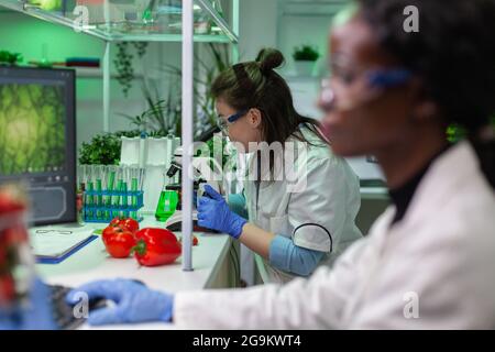 Gesundheitschemiker prüft Probe von veganem Fleisch, indem er nach einem chemischen Experiment durch das Mikroskop schaut. Wissenschaftler, die im Biologielabor an pflanzengeschlasertem Rindfleischersatz arbeiten. Stockfoto