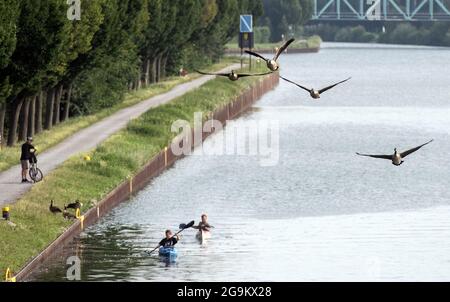 Dortmund, Deutschland. Juli 2021. Gänse fliegen über zwei Paddler auf dem Dortmund-Ems-Kanal. Quelle: Bernd Thissen/dpa/Alamy Live News Stockfoto