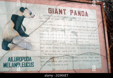 Tafel 'großer Panda' vor seinem Gehege im Zoo von Peking, China 1998. Informationstafel über den 'Großen Pandabären' auf seinem Gelände im Zoo von Beijng, China 1998. Stockfoto