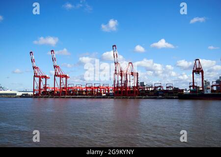 Krane am liverpool 2 Containerterminal freeport liverpool england großbritannien Stockfoto