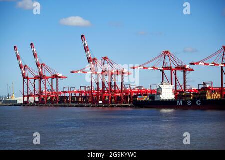 Krane am liverpool 2 Containerterminal freeport liverpool england großbritannien Stockfoto