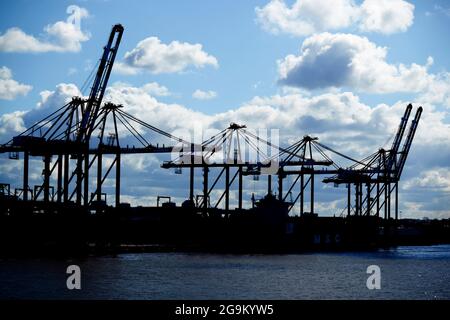 Krane am liverpool 2 Containerterminal freeport liverpool england großbritannien Stockfoto