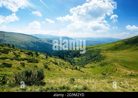 karpaten-Berglandschaft auf einem hellen Voroon. Wunderschöne Landschaft mit grünen Hügeln unter einer flauschigen Wolken auf einem blauen Himmel im Sommer. Beliebt Stockfoto