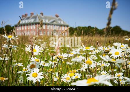 Uppark House, West Harting, West Sussex, Großbritannien - Außenansicht des Gebäudes und der umliegenden Wiese im Sommer Stockfoto