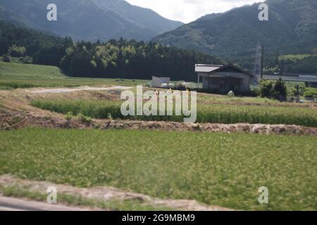 Autofahren in Mie, Japan - Ende Juli, Sommer Stockfoto