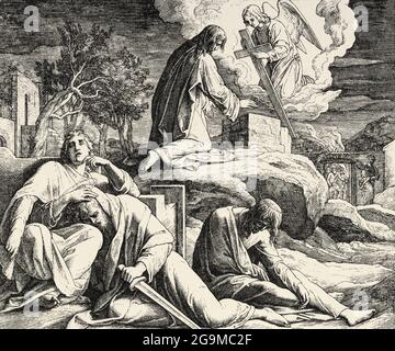 Agonie im Garten. Unser Herr Jesus betet in Getsemani auf dem Ölberg. Matthäus-Buch, Neues Testament Heilige biblische Geschichte. Alter Stich aus dem Buch Historia Sagrada 1920 Juan Lagui Lliteras Stockfoto