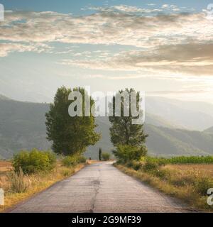Die Landstraße in den Bergen Albaniens kreuzt bei Sonnenaufgang zwei Bäume Stockfoto