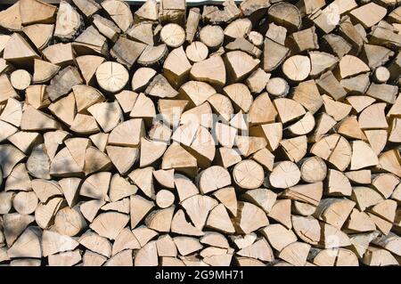 Brennholz gespalten und gestapelt (Brajcino) Stockfoto