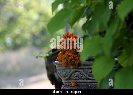 Verblasste orange und gelbe Rosen in einer grünen Schale Stockfoto