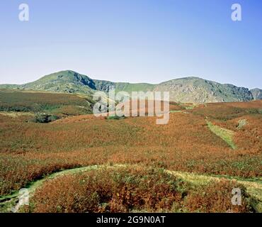 Dow Crag aus der Nähe von Torver High Common Coniston, Lake District Cumbria England Stockfoto