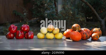 Herbsternte. Biologisch angebaute Paprika, Kürbis, Äpfel in einer Auswahl. Vitaminset aus frischem und köstlichem Gemüse. Herzlichen Dank, da Stockfoto