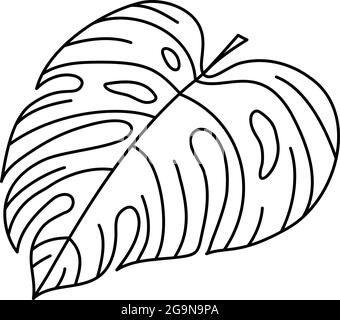 Einzelner Monoline Vektor Zeichnung exotische tropische Blatt Monstera Pflanze. Bedruckbare dekorative Zimmerpflanze Konzept für Heim Wanddekor Poster Ornament Stock Vektor