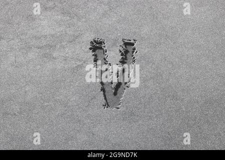 Nu-Zeichen. Nu-Buchstabe, griechisches Alphabet-Symbol, robuster, silberner Hintergrund Stockfoto