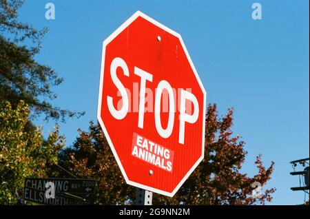 In Berkeley, Kalifornien, haben Aktivisten einen Aufkleber auf einem Stoppschild angebracht, der das Schild so umwandelt, dass es „Stop eating animals“, eine Botschaft über vegane oder vegetarische Lebensstile, anzeigt, 6. Oktober 2017. (Foto von Smith Collection/Gado/Sipa USA) Stockfoto