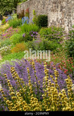 Die krautige Grenze im Schlossgarten Aberdour Stockfoto