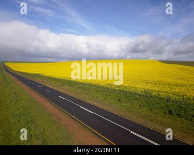 Lange gerade Straße, die durch ein gelbes Feld führt, Luftlandschaft Stockfoto