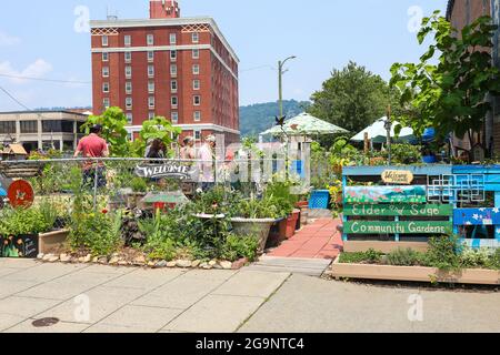 ASHEVILLE, NC, USA-22 JULY 2021: The Elder and Sage Community Gardens at Page and Haywood. Zeigt Garten, Arbeiter und Besucher. Stockfoto