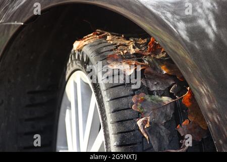 Tschernihiw, Ukraine - 10. November 2018: Autorader und Herbstblätter Stockfoto