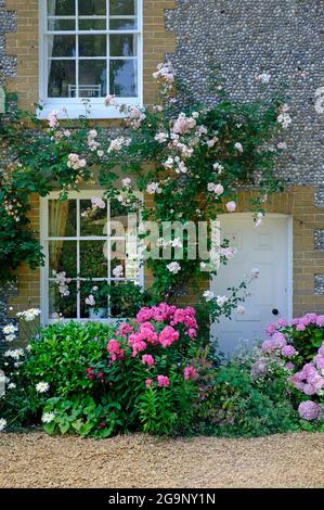 Blumen, die außerhalb des hübschen Häuschens in Cley-next-the-Sea, Nord-norfolk, england wachsen Stockfoto