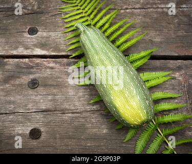 Umweltfreundliche Zusammensetzung mit organischen, grünen Zucchini, Farn lassen auf einem hölzernen Hintergrund mit Platz für Text. Klimafreundliches Essen. Lokal angebaut, fa Stockfoto