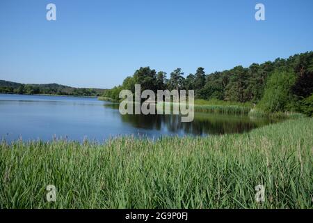Frensham Little Pond Stockfoto