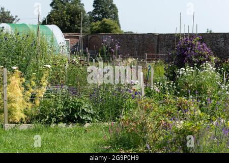 Ummauerter Garten in einem Landhaus Stockfoto