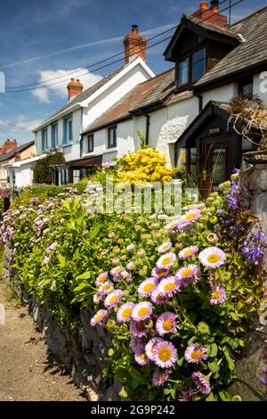 Großbritannien, Wales, Ceredigion, Aberporth, Banc y Dyffryn, Geblümte Vorderwand der Hütte Stockfoto