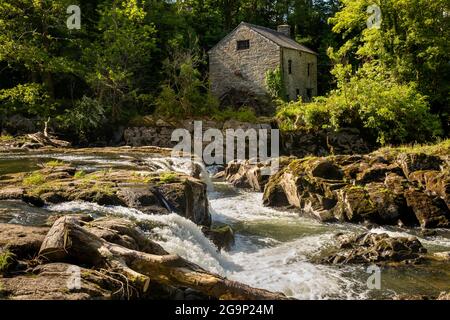 Großbritannien, Wales, Ceredigion, Cenarth, fällt auf den Fluss Teifi bei einer alten Wassermühle Stockfoto