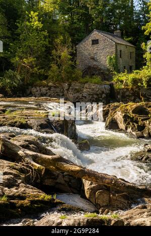 Großbritannien, Wales, Ceredigion, Cenarth, fällt auf den Fluss Teifi bei einer alten Wassermühle Stockfoto