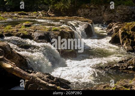 Großbritannien, Wales, Ceredigion, Cenarth, fällt auf den Fluss Teifi Stockfoto