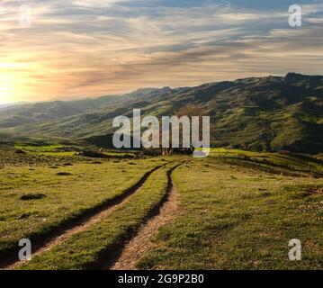 Wunderschöne Landschaft mit gewundenen Pfaden durch brachliegende Felder bei Sonnenuntergang Stockfoto