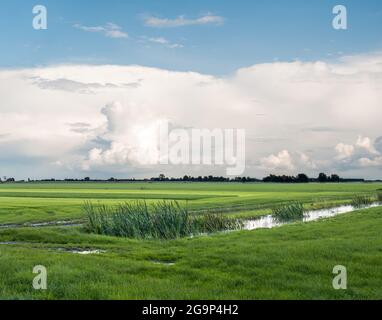 Cumulonimbus-Sturmwolke, Amboss-Wolke, über Polderwiesen in Friesland, Niederlande Stockfoto