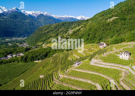 Valtellina (IT), Bianzone, Luftansicht der Weinberge von Nebbiolo Stockfoto