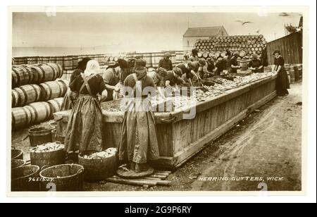 Postkarte aus dem frühen 20. Jahrhundert mit Frauen, Hering Bundstegen, Wick, Caithness, Schottland, um 1920 Stockfoto